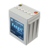 6-OPZV-100 Blei-Säure-Batterie