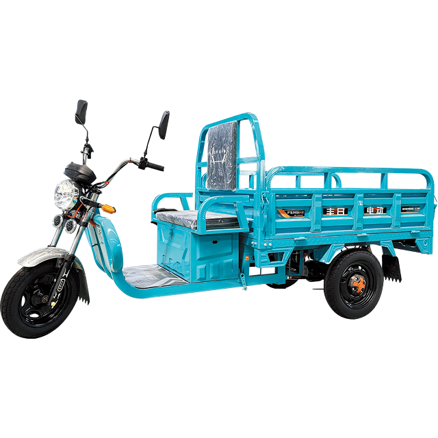 Flaches elektrisches Lastendreirad der Dragon-Serie zu einem günstigen Preis